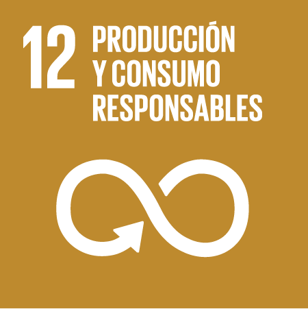 12. Producción y Consumo Responsable