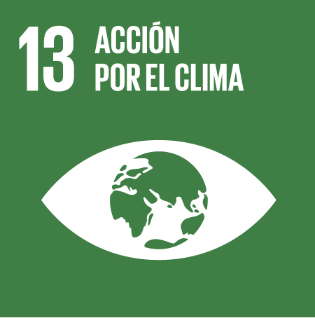 13. Acción por el Clima